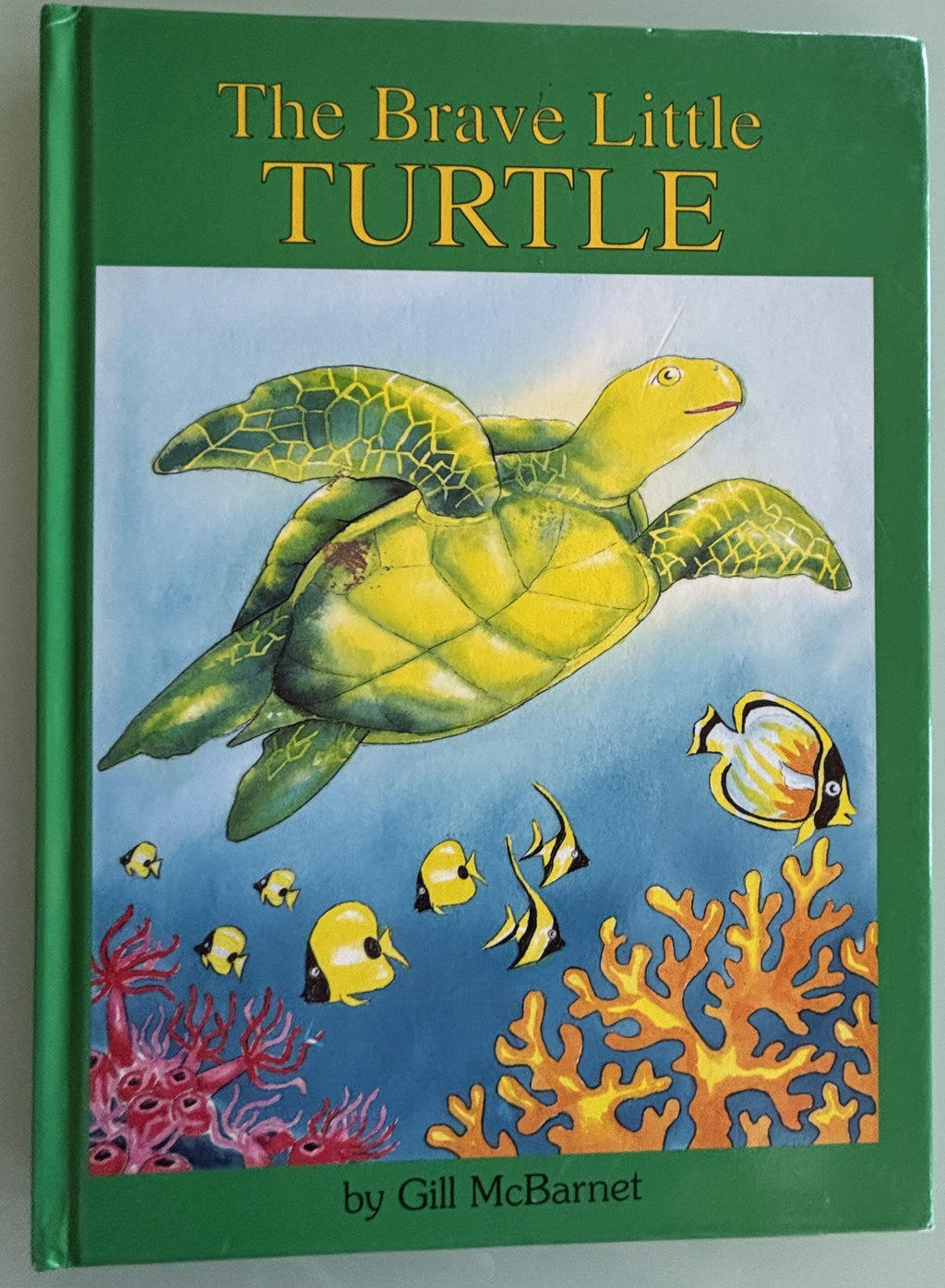 The Brave Little Turtle:  Gill McBarnet