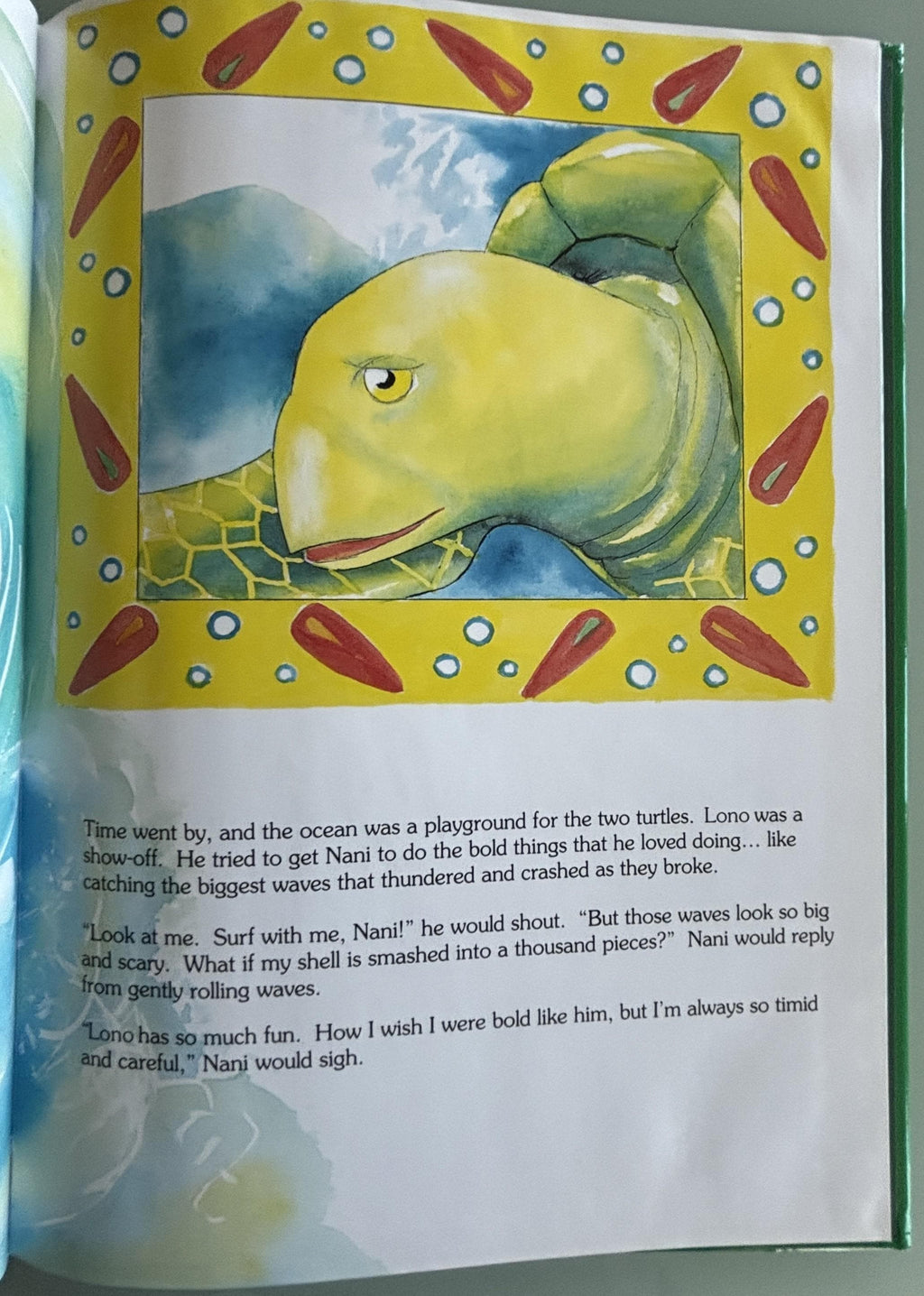 The Brave Little Turtle:  Gill McBarnet