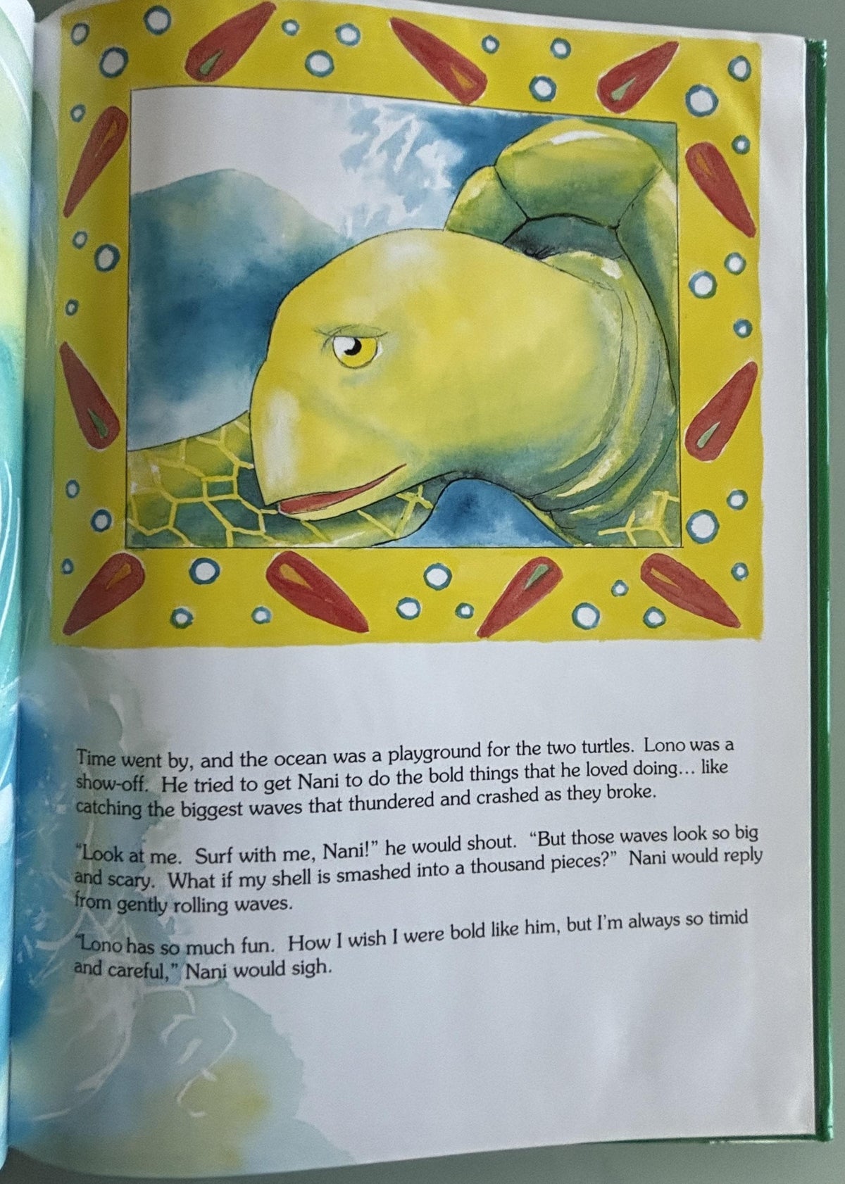 The Brave Little Turtle:  Gill McBarnet