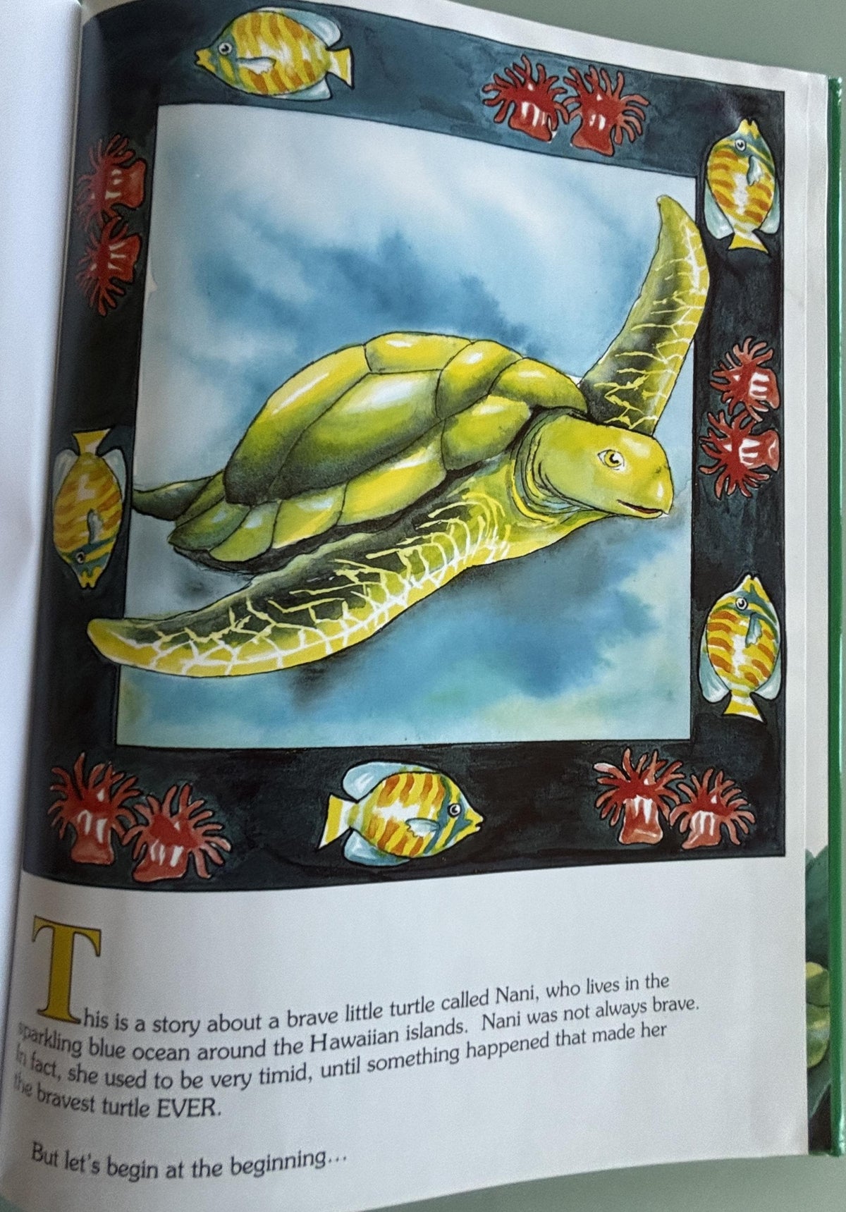 The Brave Little Turtle:  Gill McBarnet