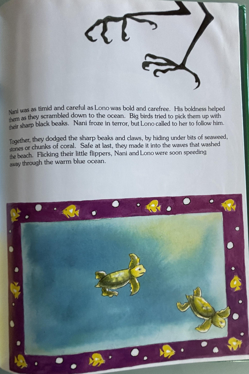 The Brave Little Turtle:  Gill McBarnet