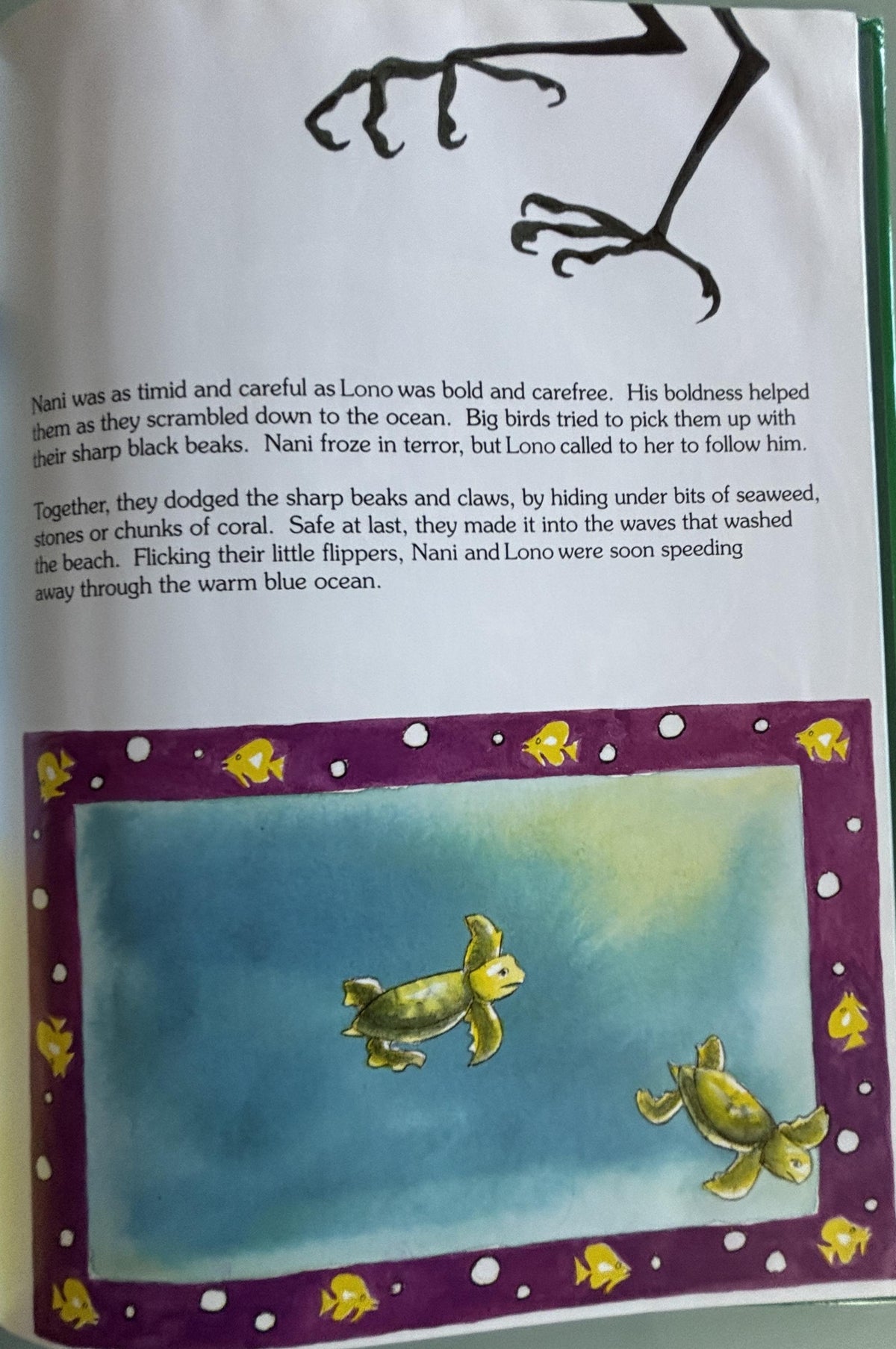 The Brave Little Turtle:  Gill McBarnet