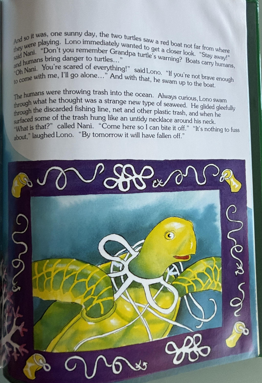 The Brave Little Turtle:  Gill McBarnet