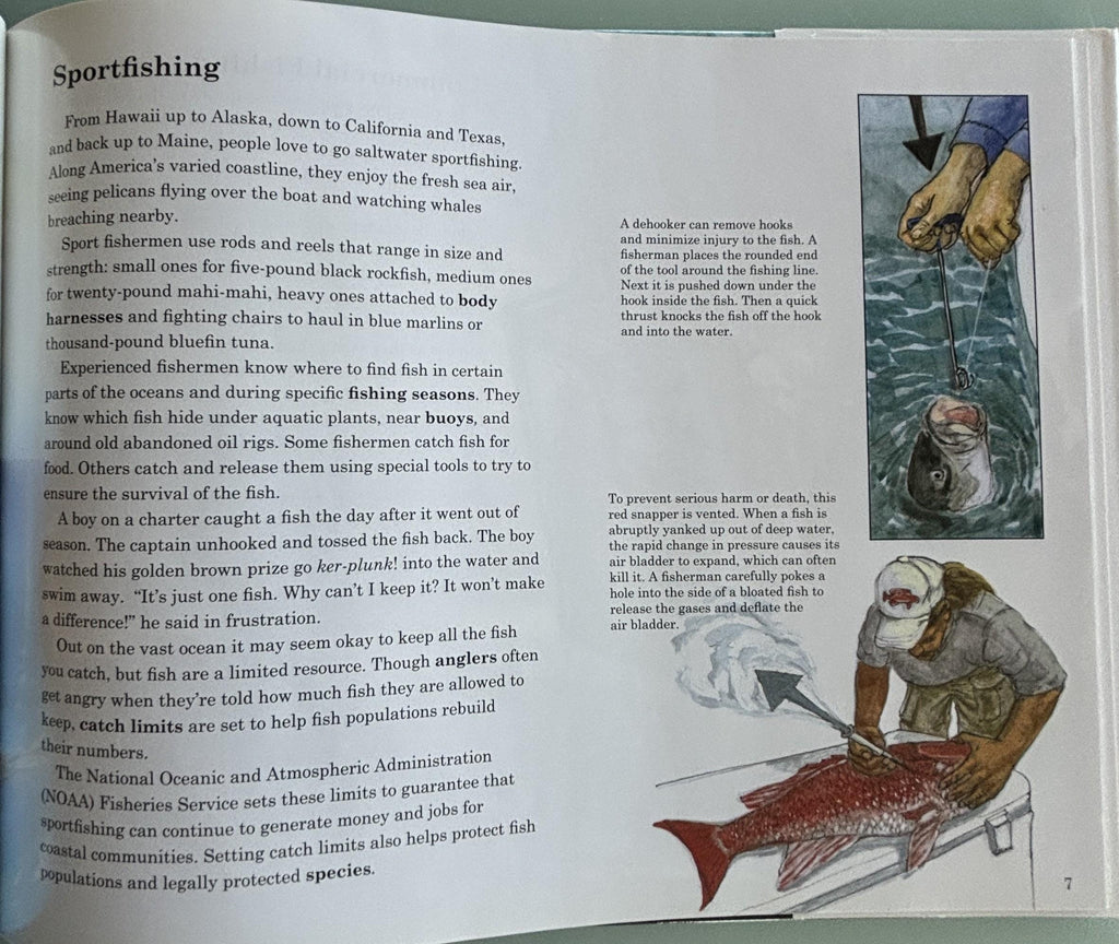 A Good Catch:  Taylor Morrison ( NOAA Fisheries Service )