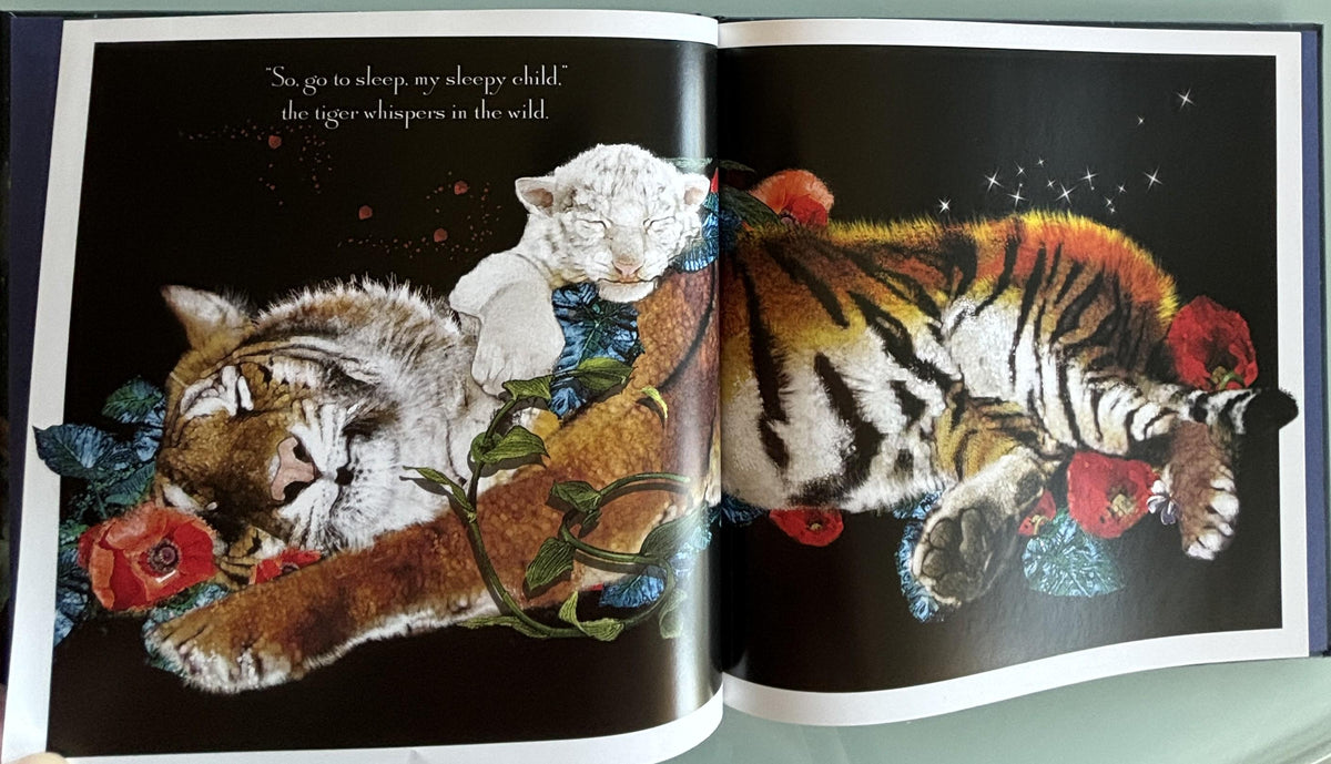 It's Time to Sleep, My Love:  Nancy Tillman