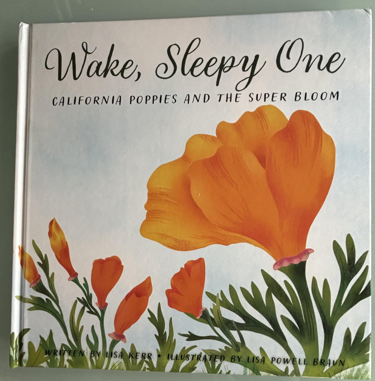 California Poppies and the Super Bloom, Wake, Sleepy One,  Lisa Kerr