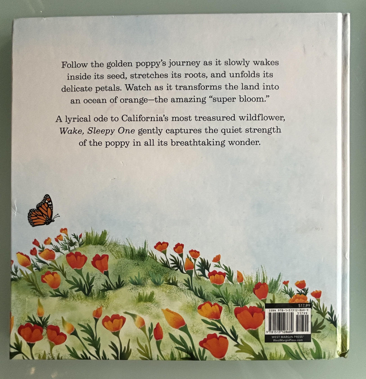 California Poppies and the Super Bloom, Wake, Sleepy One,  Lisa Kerr