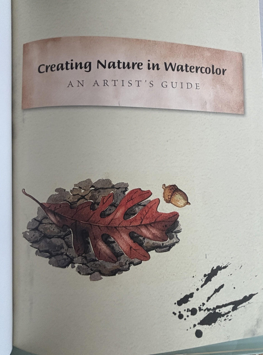 Creating Nature in Watercolor (An Artist's Guide):  Cathy Johnson
