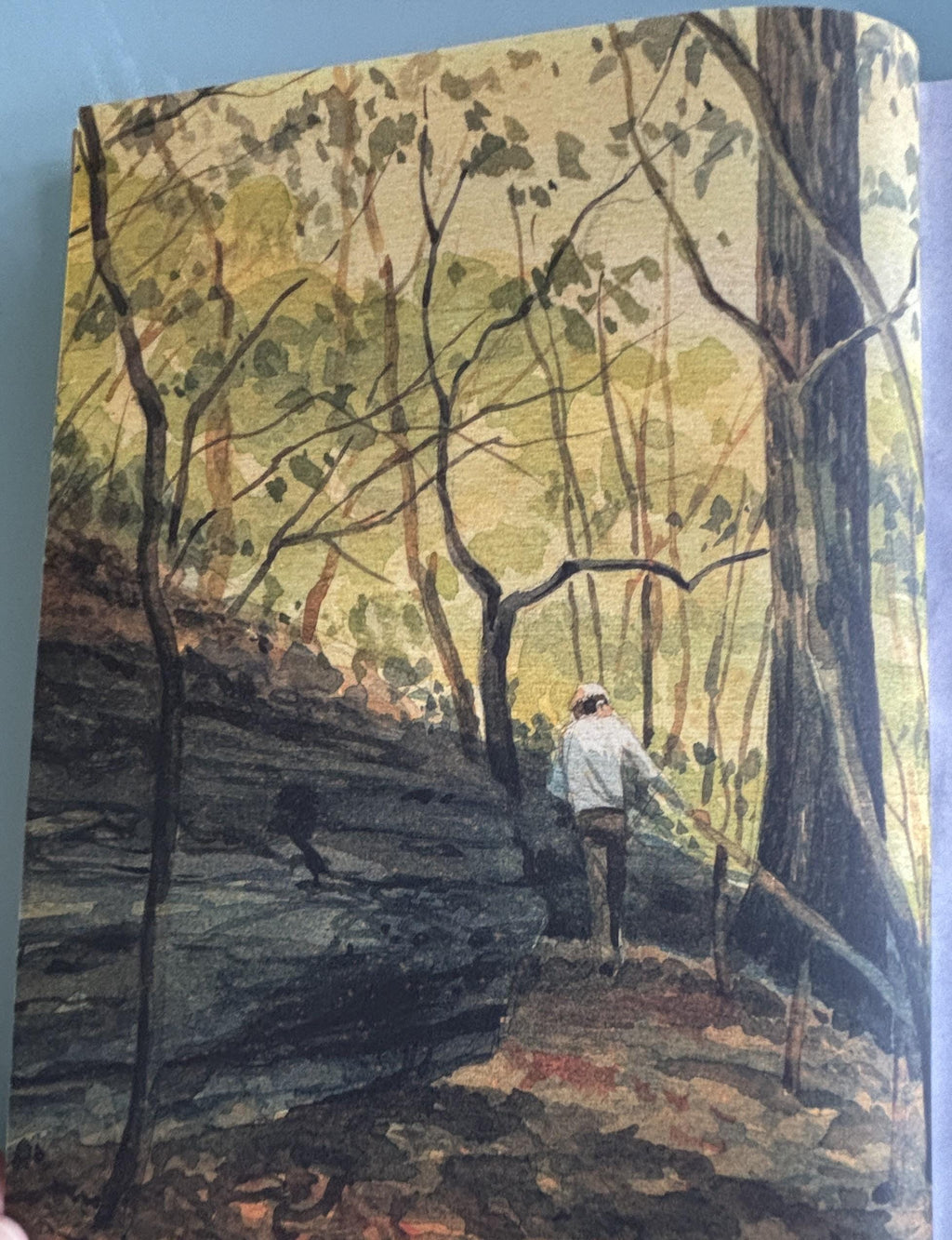 Creating Nature in Watercolor (An Artist's Guide):  Cathy Johnson