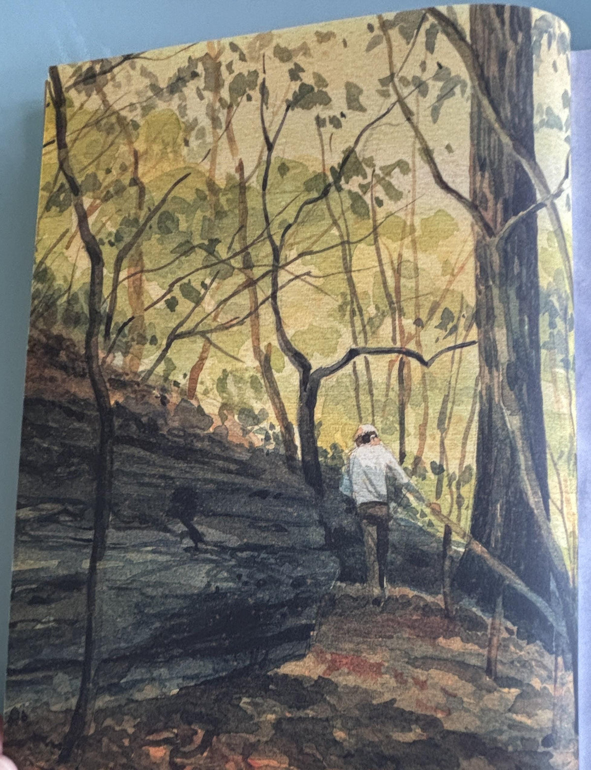 Creating Nature in Watercolor (An Artist's Guide):  Cathy Johnson