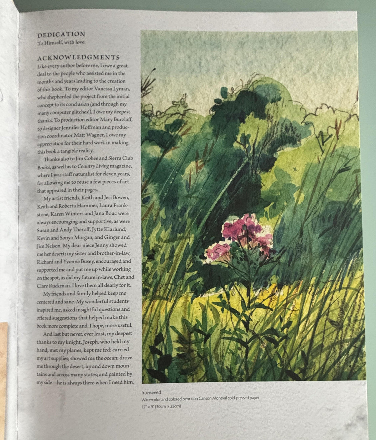 Creating Nature in Watercolor (An Artist's Guide):  Cathy Johnson