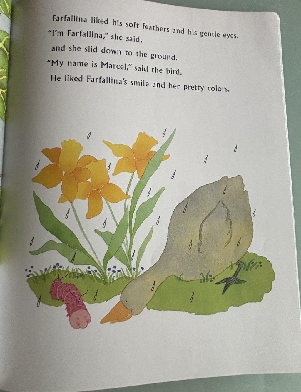 Farfallina and Marcel (A Springtime Book For Kids):  Holly Keller