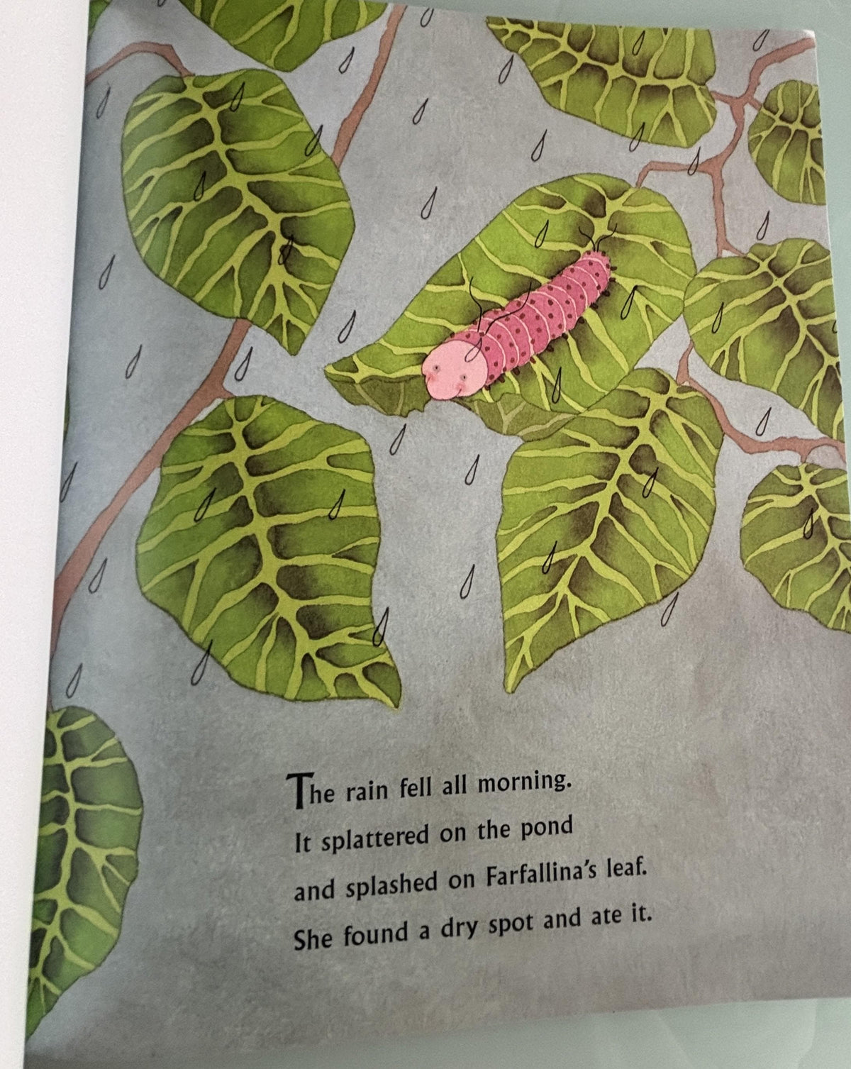 Farfallina and Marcel (A Springtime Book For Kids):  Holly Keller