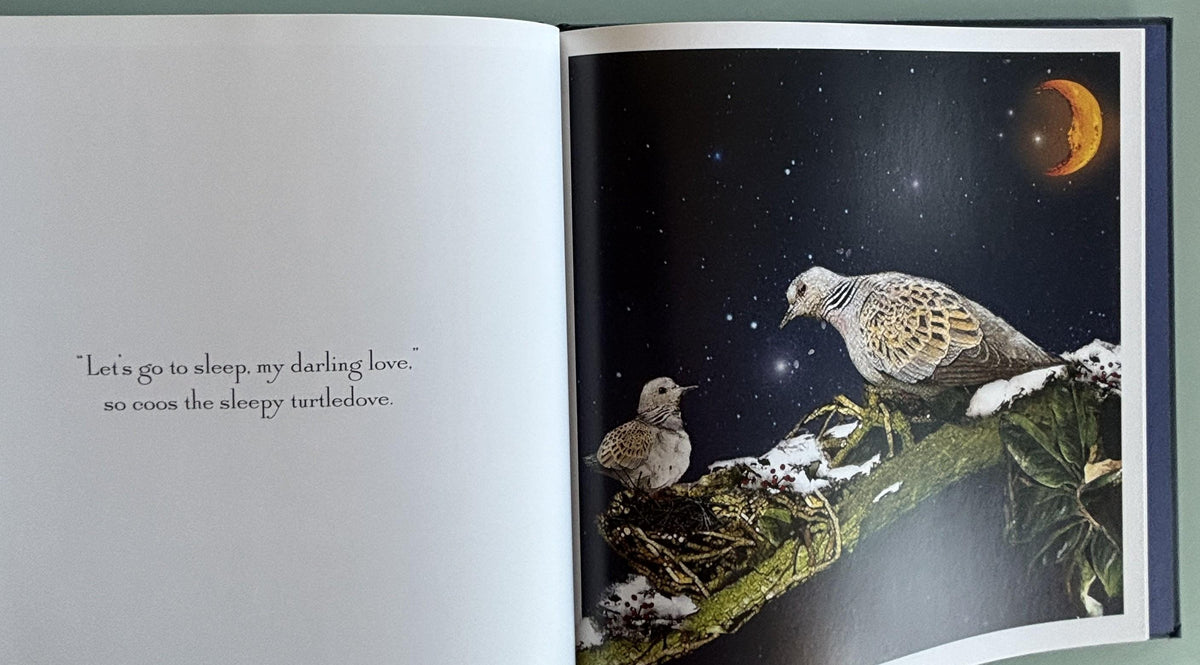 It's Time to Sleep, My Love:  Nancy Tillman