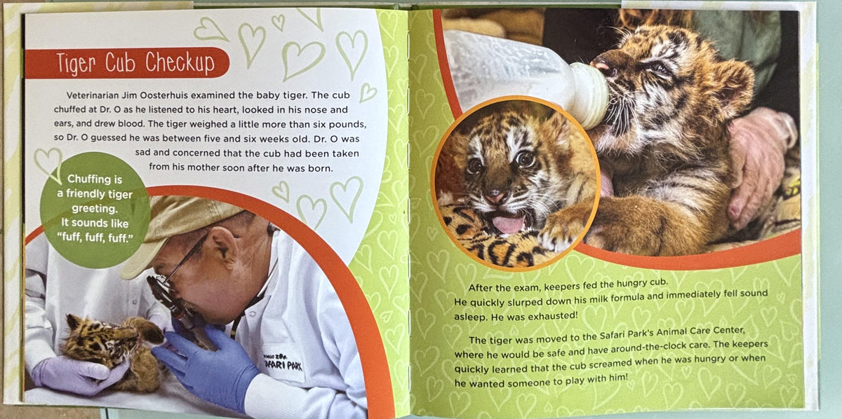 Saving Moka (The True Tale of a Rescued Tiger Cub):  Georgeanne Irvine