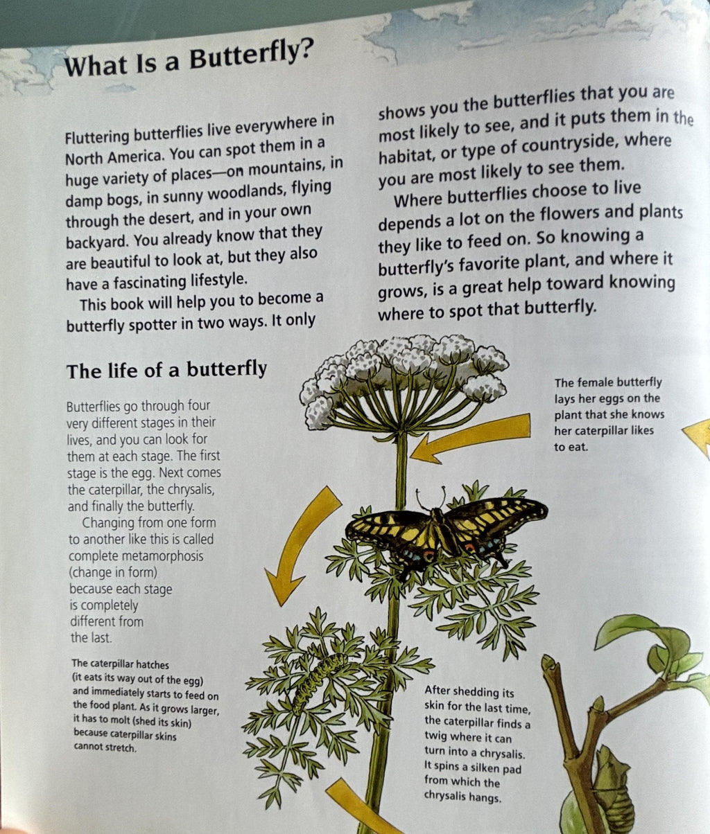 BUTTERFLIES:  Science Nature Guides  **  First Published  **
