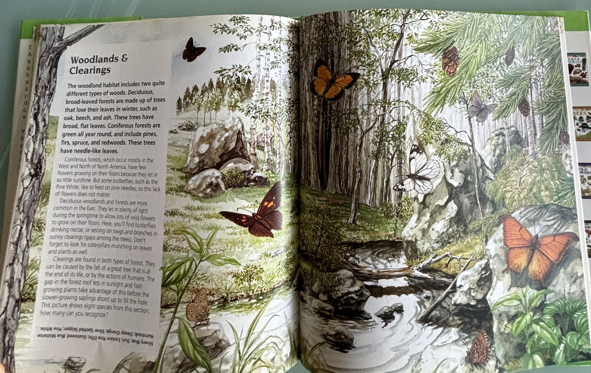 BUTTERFLIES:  Science Nature Guides  **  First Published  **