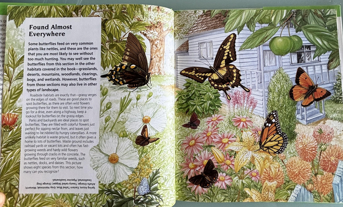 BUTTERFLIES:  Science Nature Guides  **  First Published  **