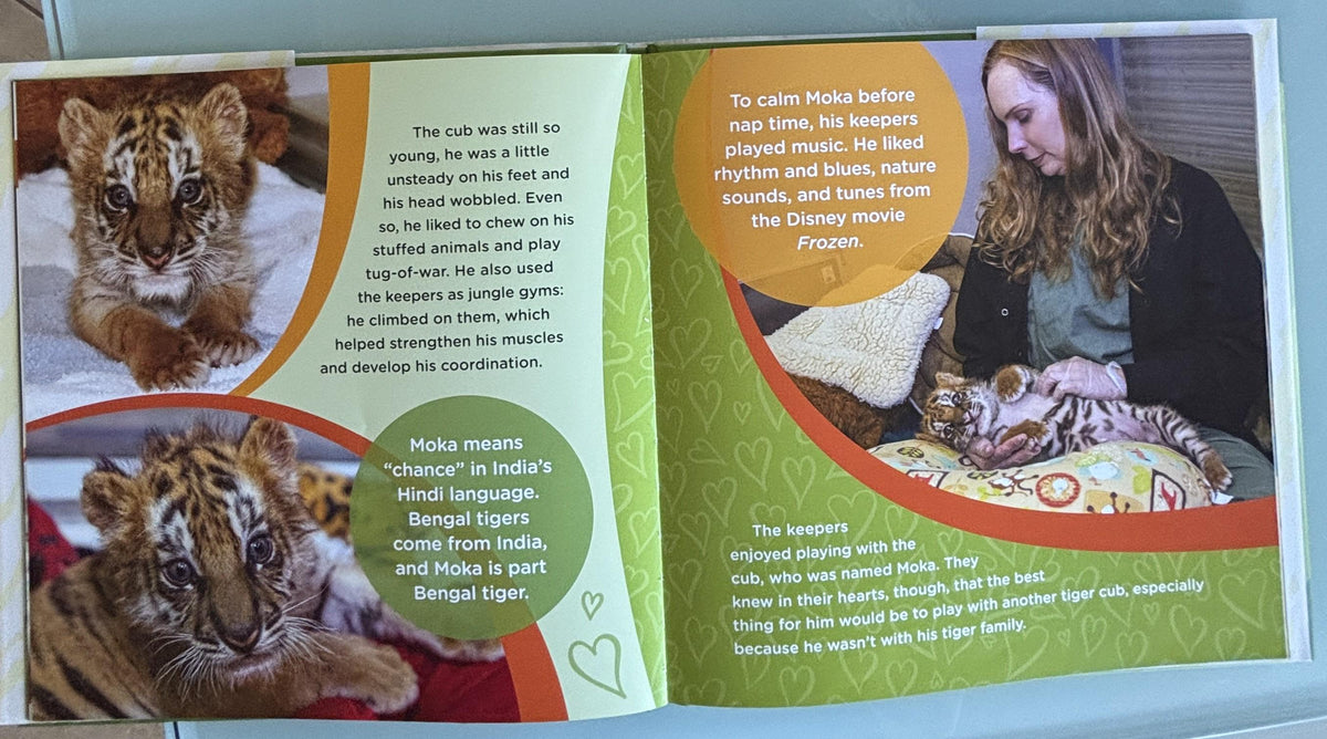 Saving Moka (The True Tale of a Rescued Tiger Cub):  Georgeanne Irvine