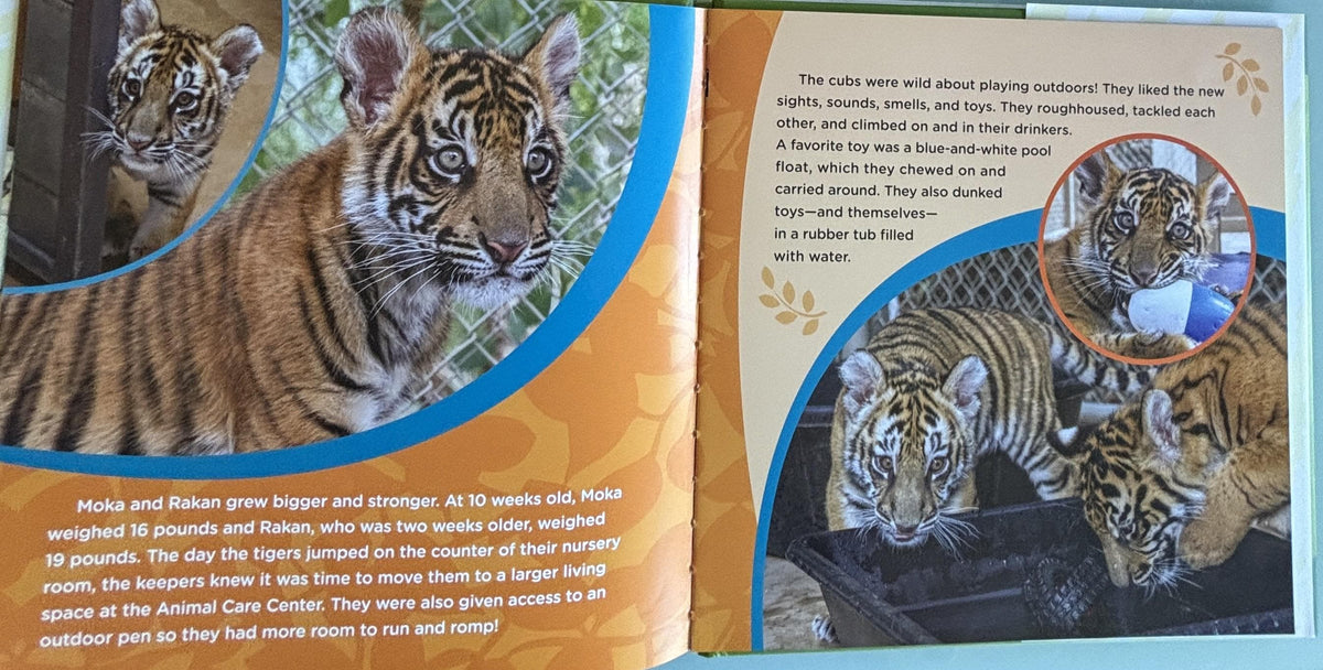 Saving Moka (The True Tale of a Rescued Tiger Cub):  Georgeanne Irvine