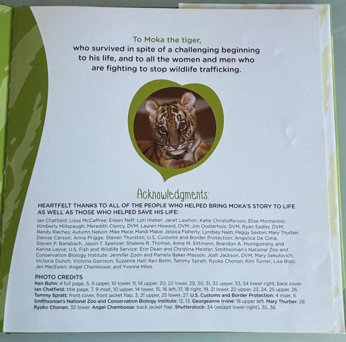 Saving Moka (The True Tale of a Rescued Tiger Cub):  Georgeanne Irvine