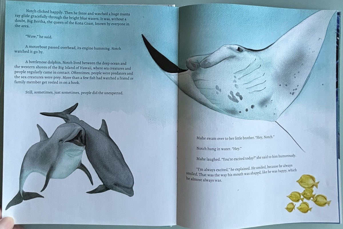 Notch, the rescued dolphin:  Martina Wing  **  Signed First Edition  **