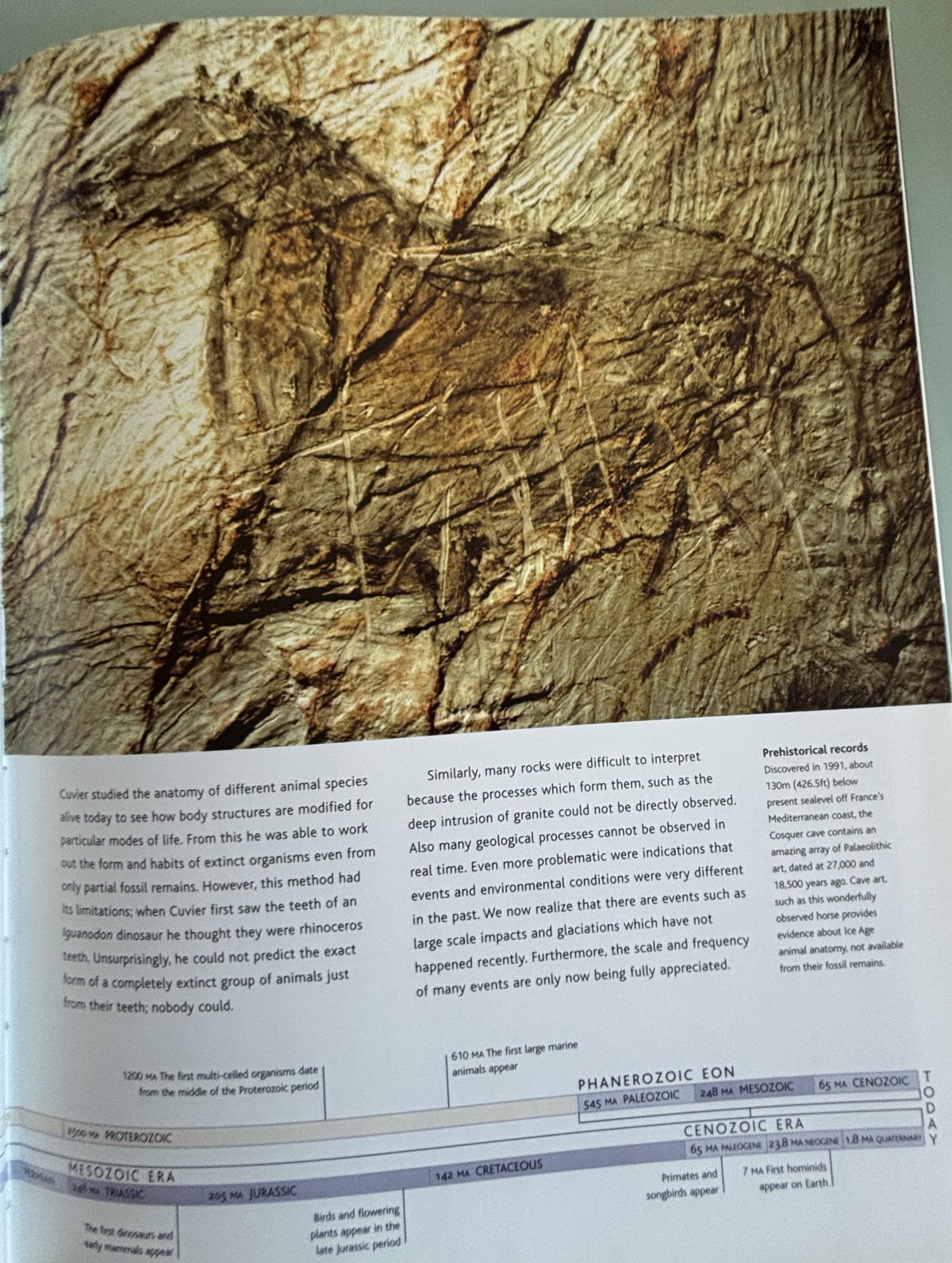Prehistoric Past Revealed: History of Life on Earth, 2003 First Edition