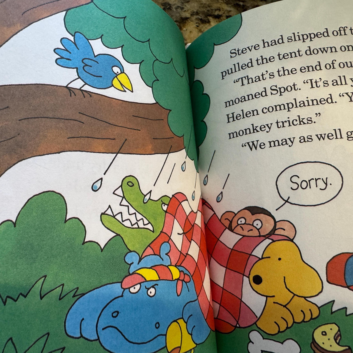 Spots First Picnic Eric Hill, A Spot Storybook