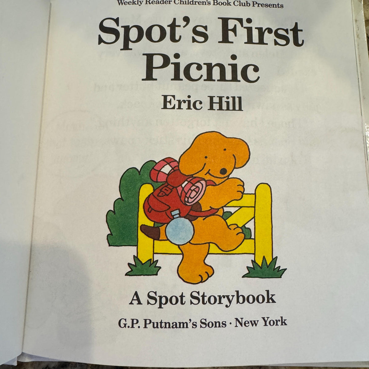 Spots First Picnic Eric Hill, A Spot Storybook