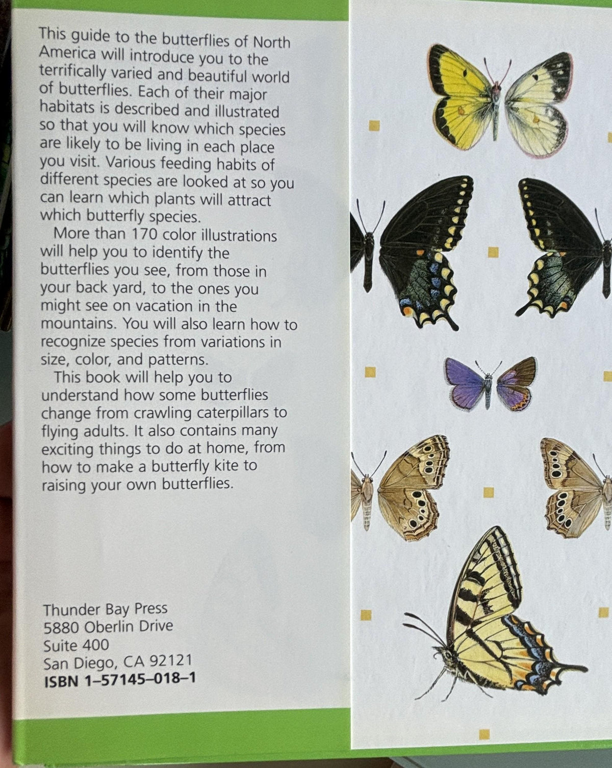 BUTTERFLIES:  Science Nature Guides  **  First Published  **
