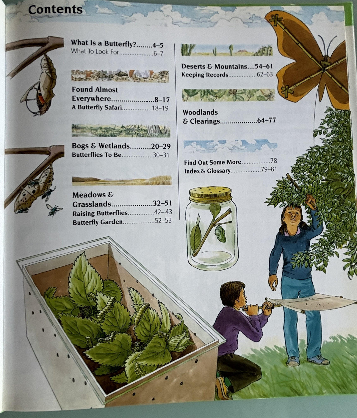 BUTTERFLIES:  Science Nature Guides  **  First Published  **