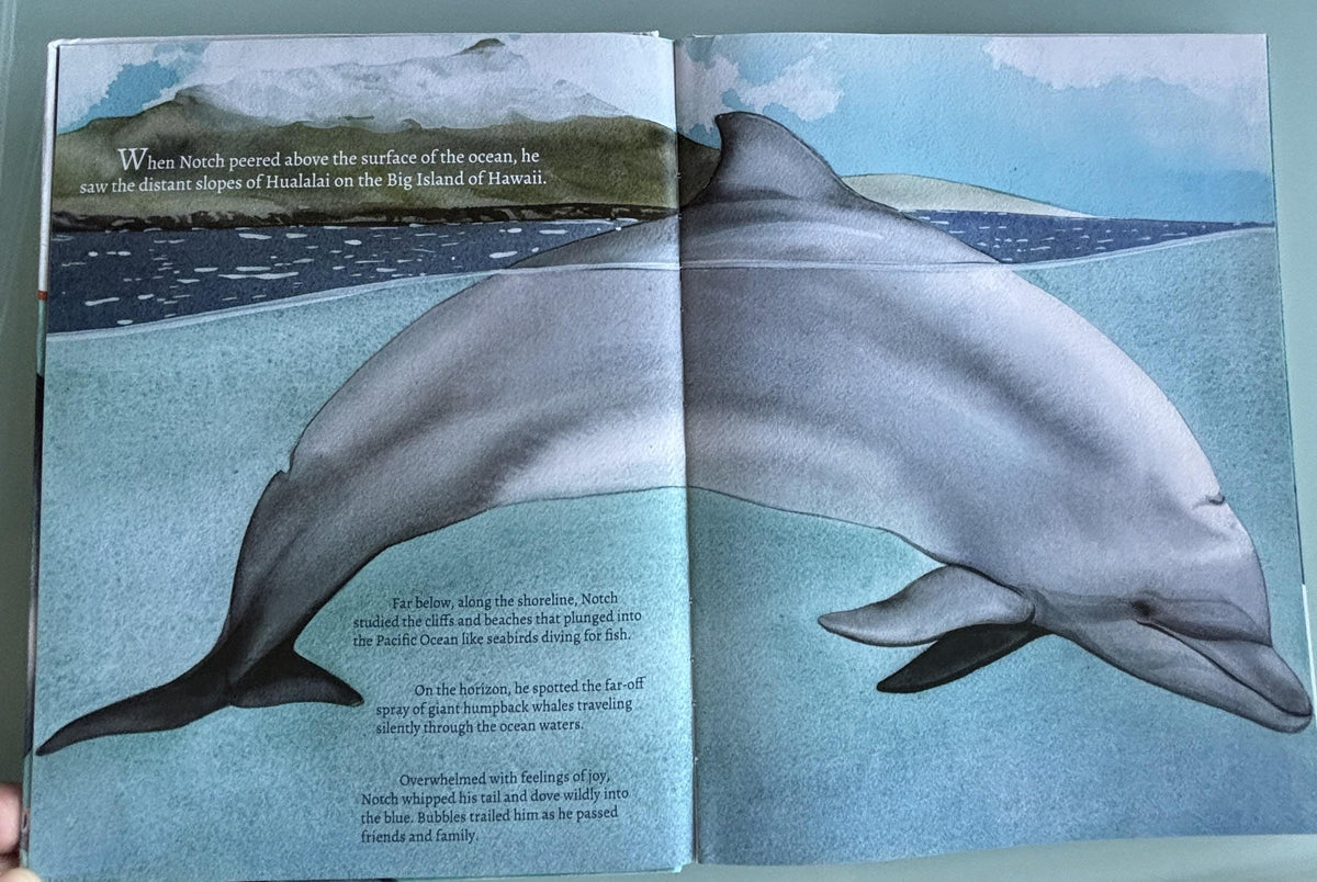 Notch, the rescued dolphin:  Martina Wing  **  Signed First Edition  **
