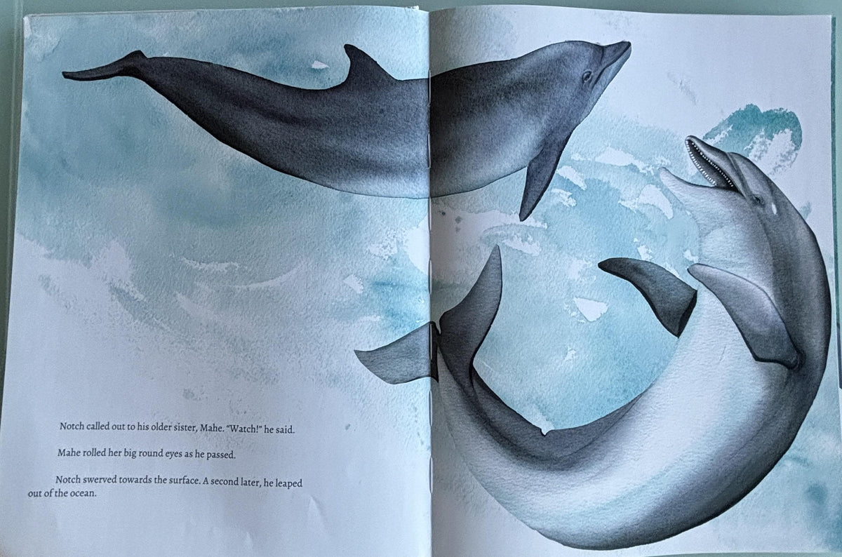 Notch, the rescued dolphin:  Martina Wing  **  Signed First Edition  **