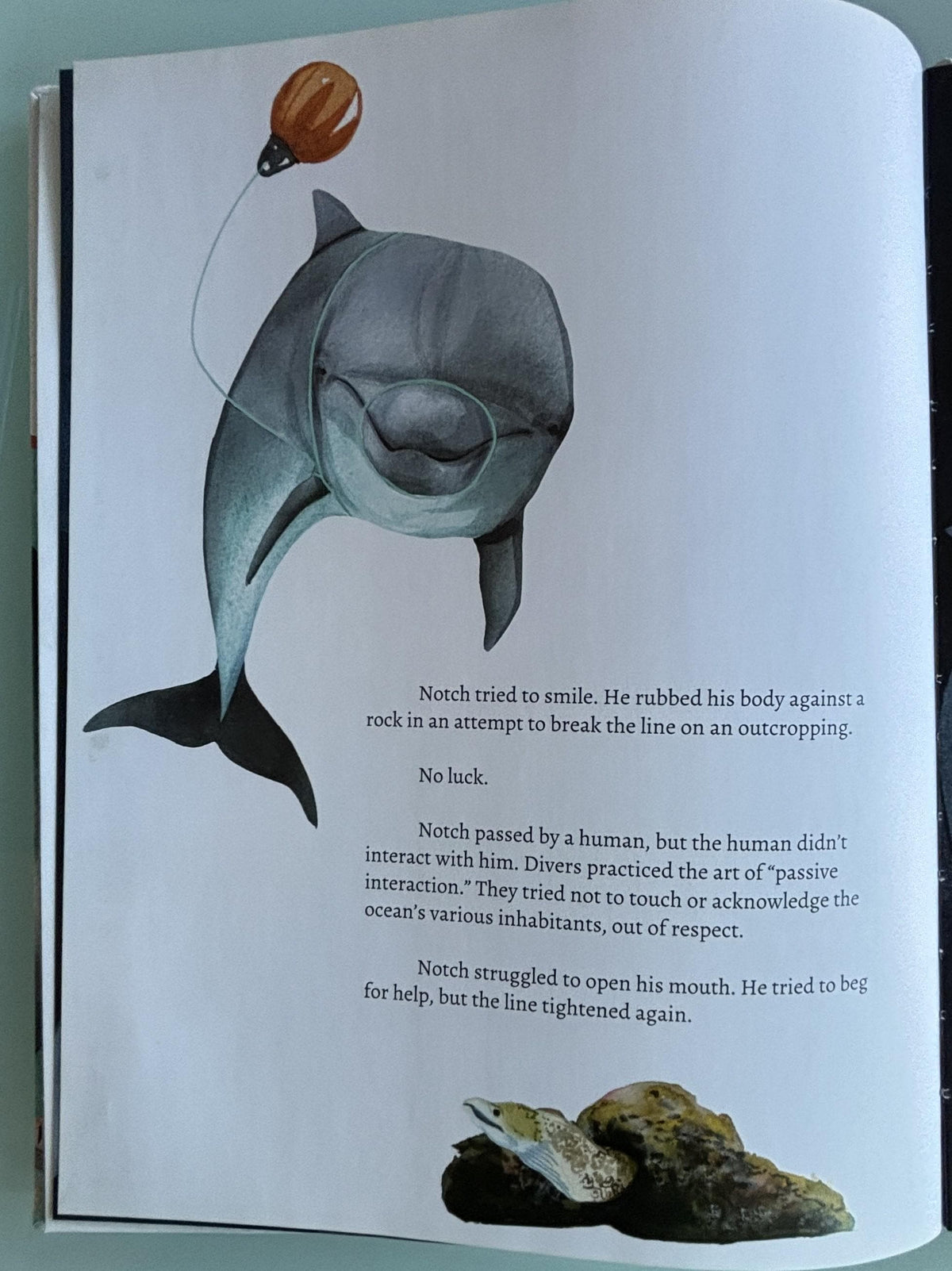 Notch, the rescued dolphin:  Martina Wing  **  Signed First Edition  **