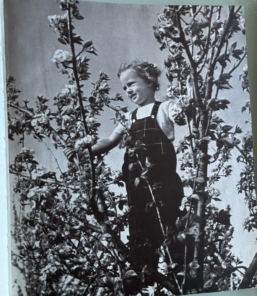 A Child's Garden of Verses:  Robert Louis Stevenson  **  1944  **
