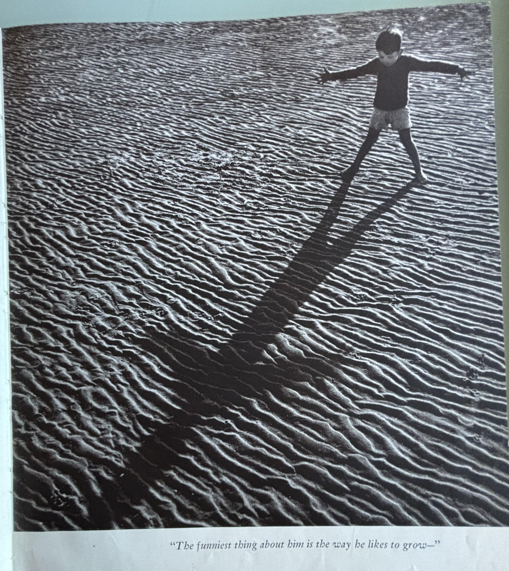 A Child's Garden of Verses:  Robert Louis Stevenson  **  1944  **