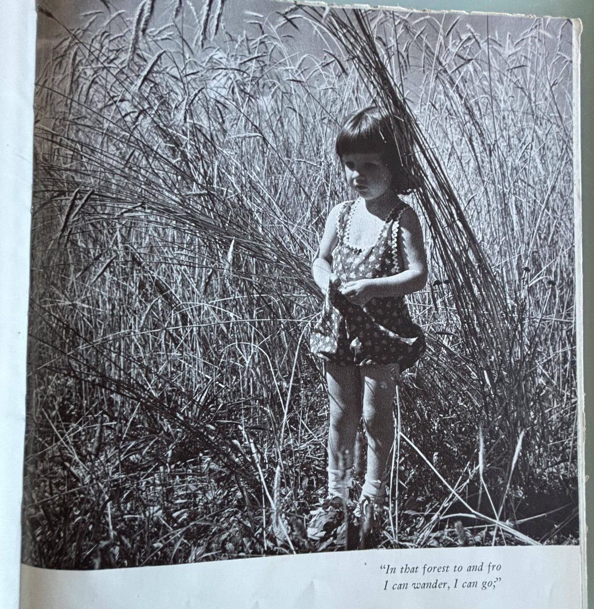 A Child's Garden of Verses:  Robert Louis Stevenson  **  1944  **