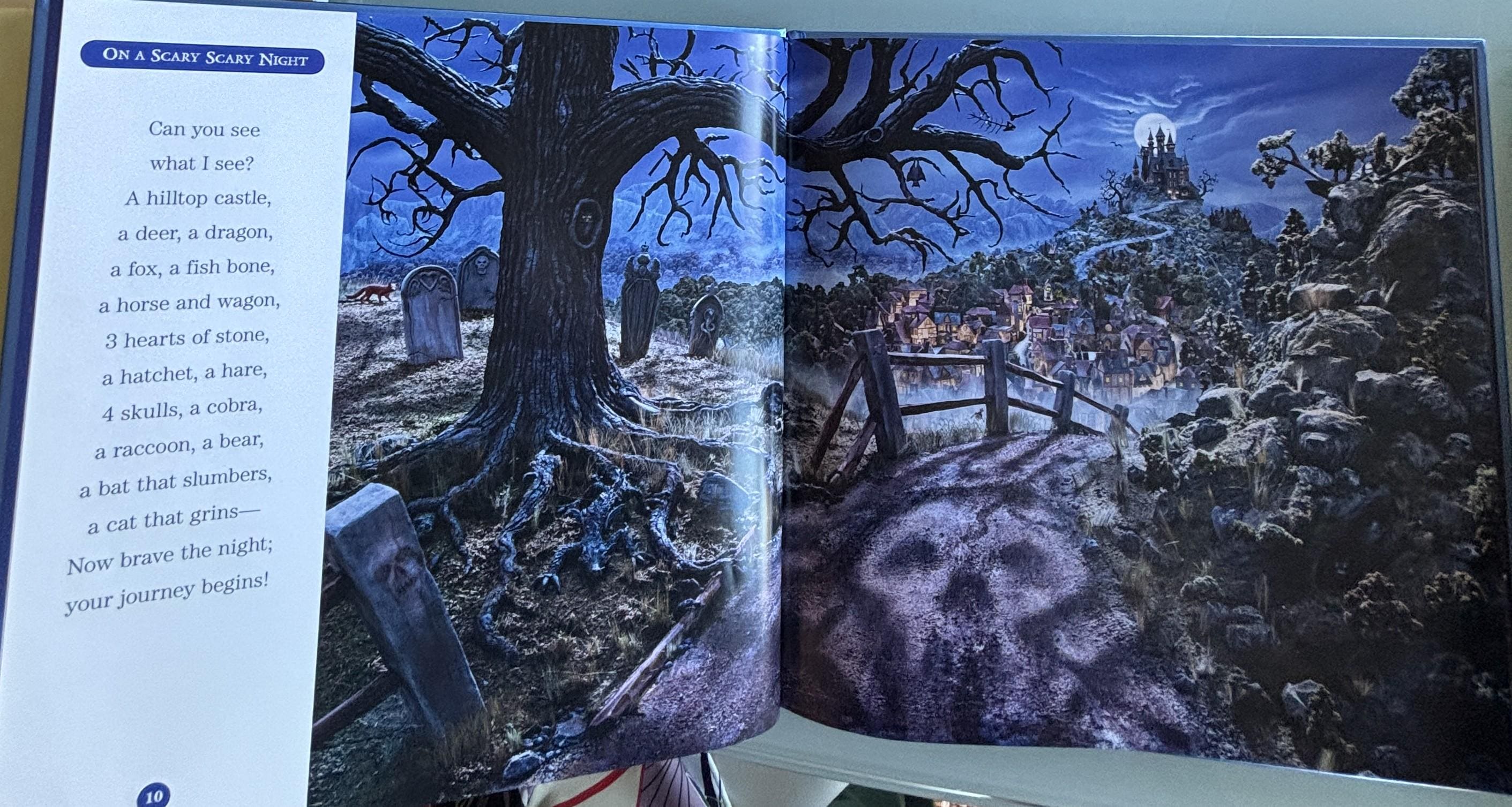 Walter Wick 'Can You See What I See?' Book, **  First Edition  **