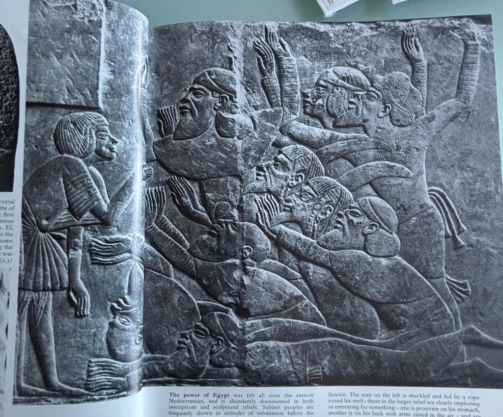 The Jewish World:  History and Culture of the Jewish People