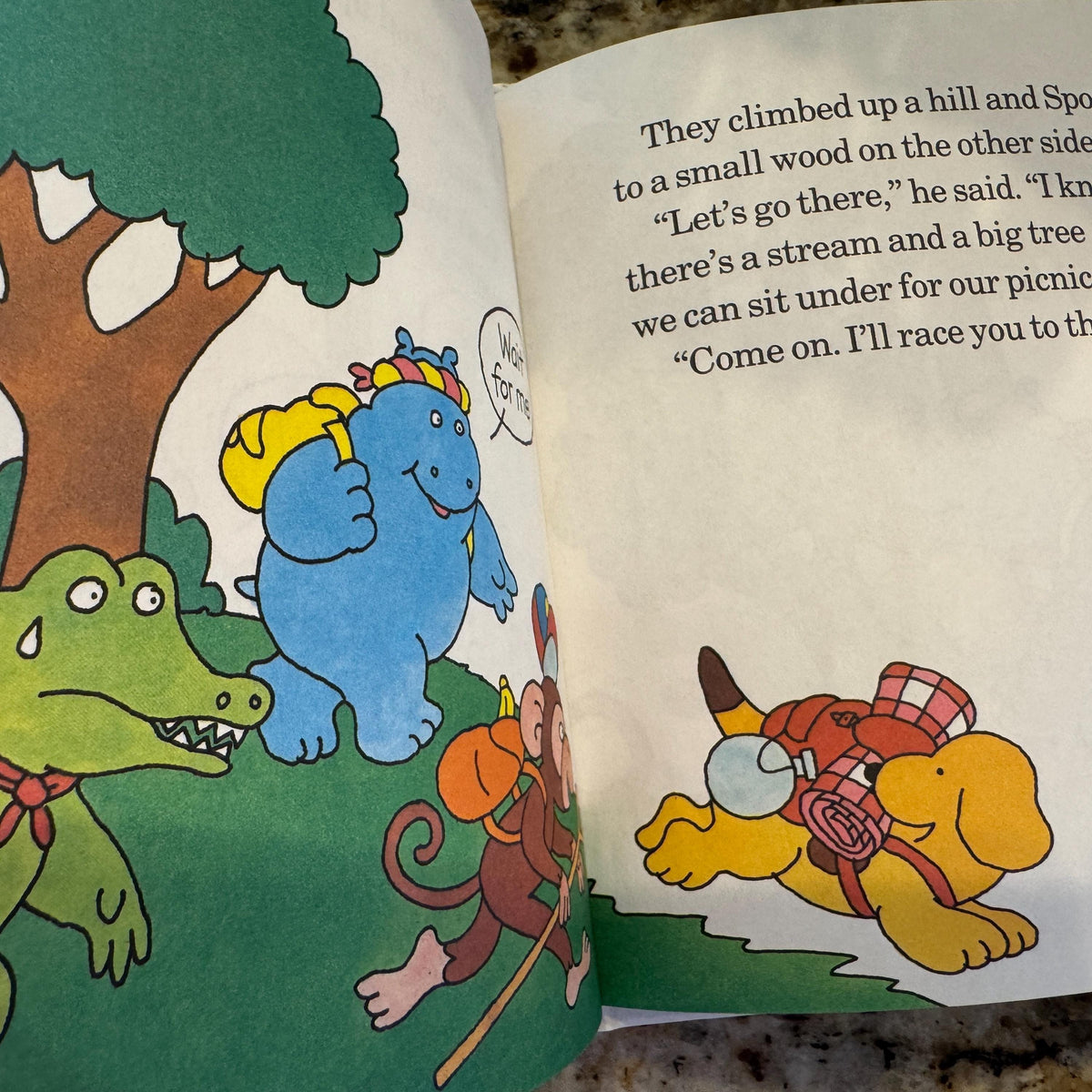 Spots First Picnic Eric Hill, A Spot Storybook