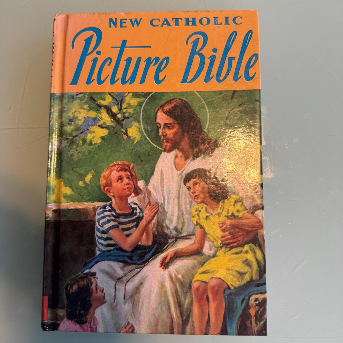 NEW Catholic Picture Bible Book Publishing Co, Stories taken from the Holy Bible c1990 Religious
