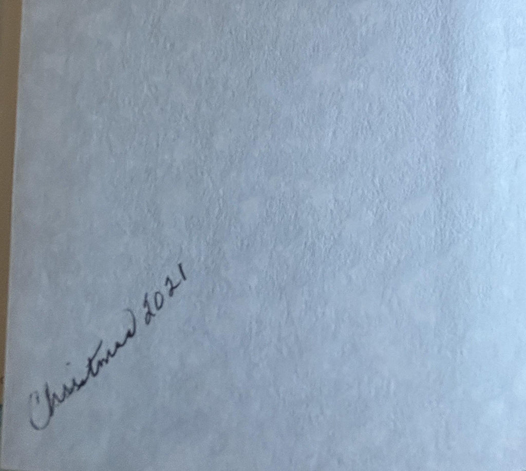 W. Bruce Cameron A Dog's Christmas First Edition Novel