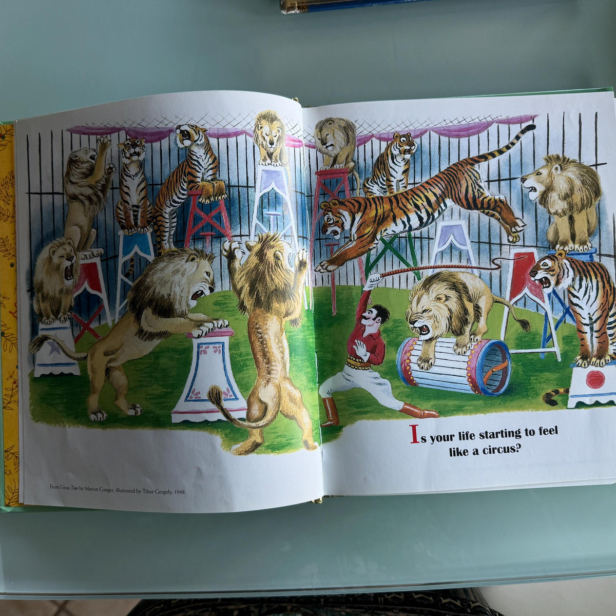 EVERYTHING I Need To Know I Learned From  A Little Golden Book Diane Muldrow