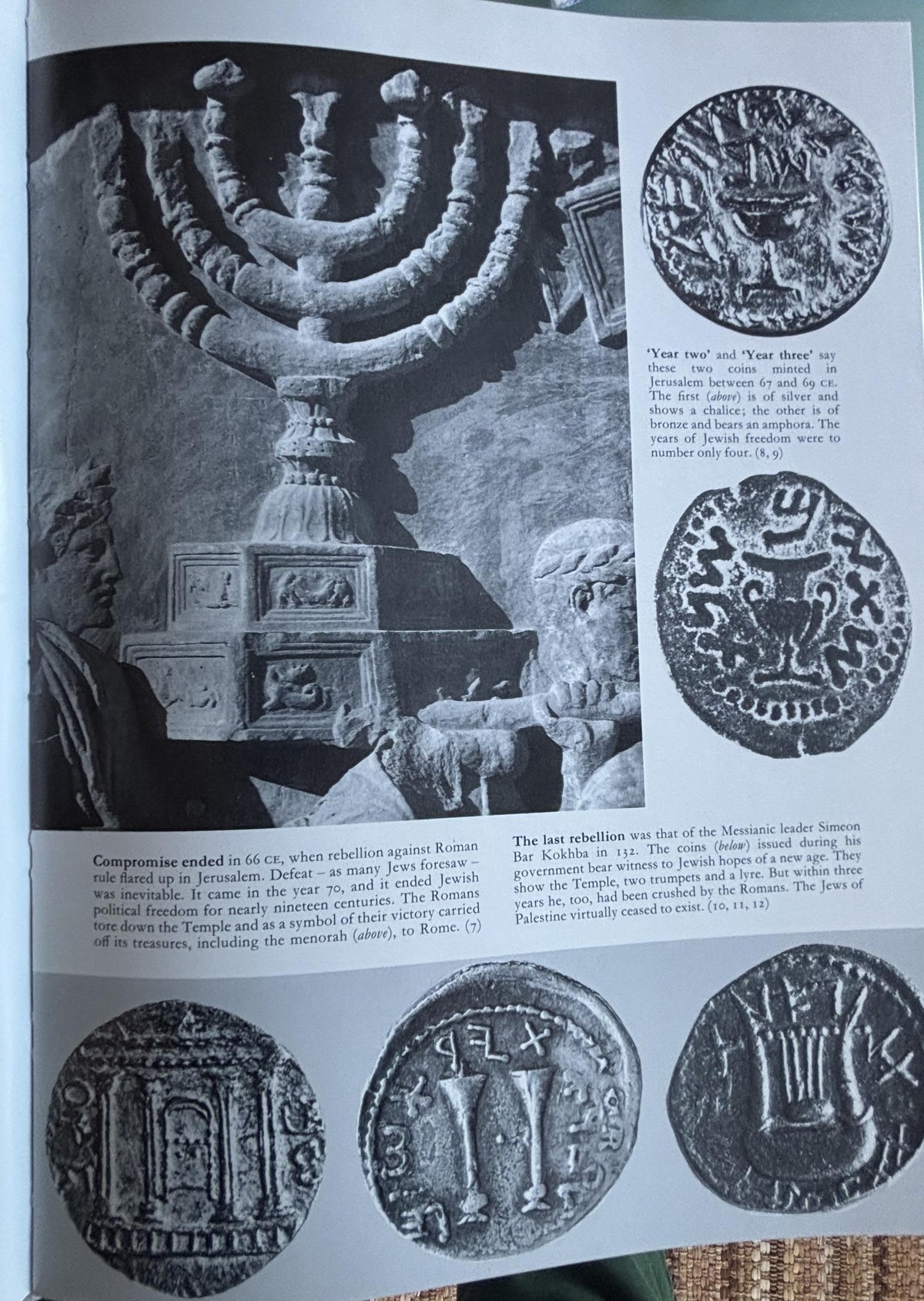 The Jewish World:  History and Culture of the Jewish People