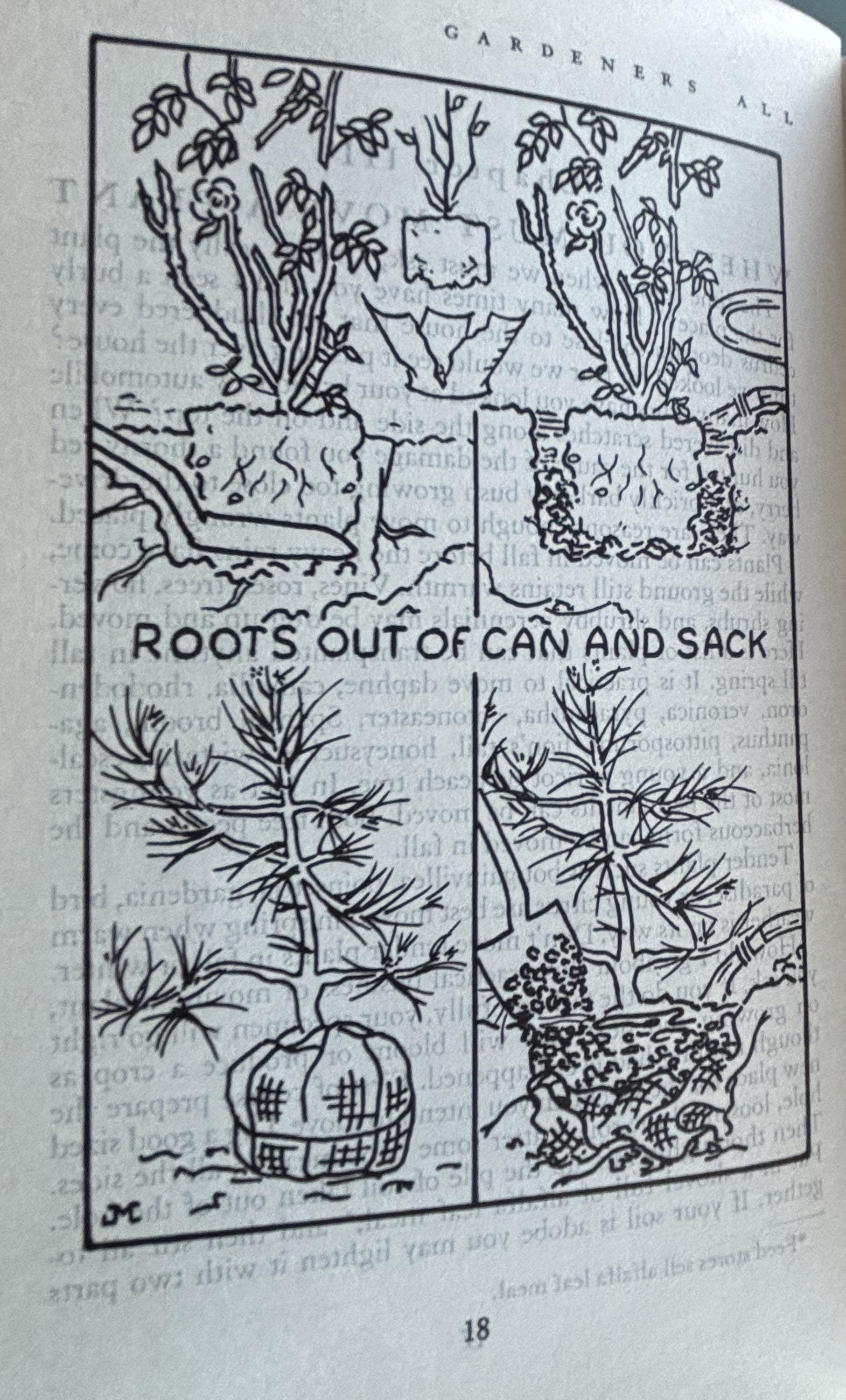 Gardeners ALL in California:  Albert Wilson  **  Signed First Printing 1953  **