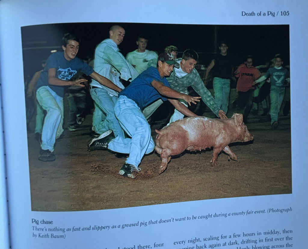 This Old Farm A Treasury of Family Farm Memories:  Michael Dregni