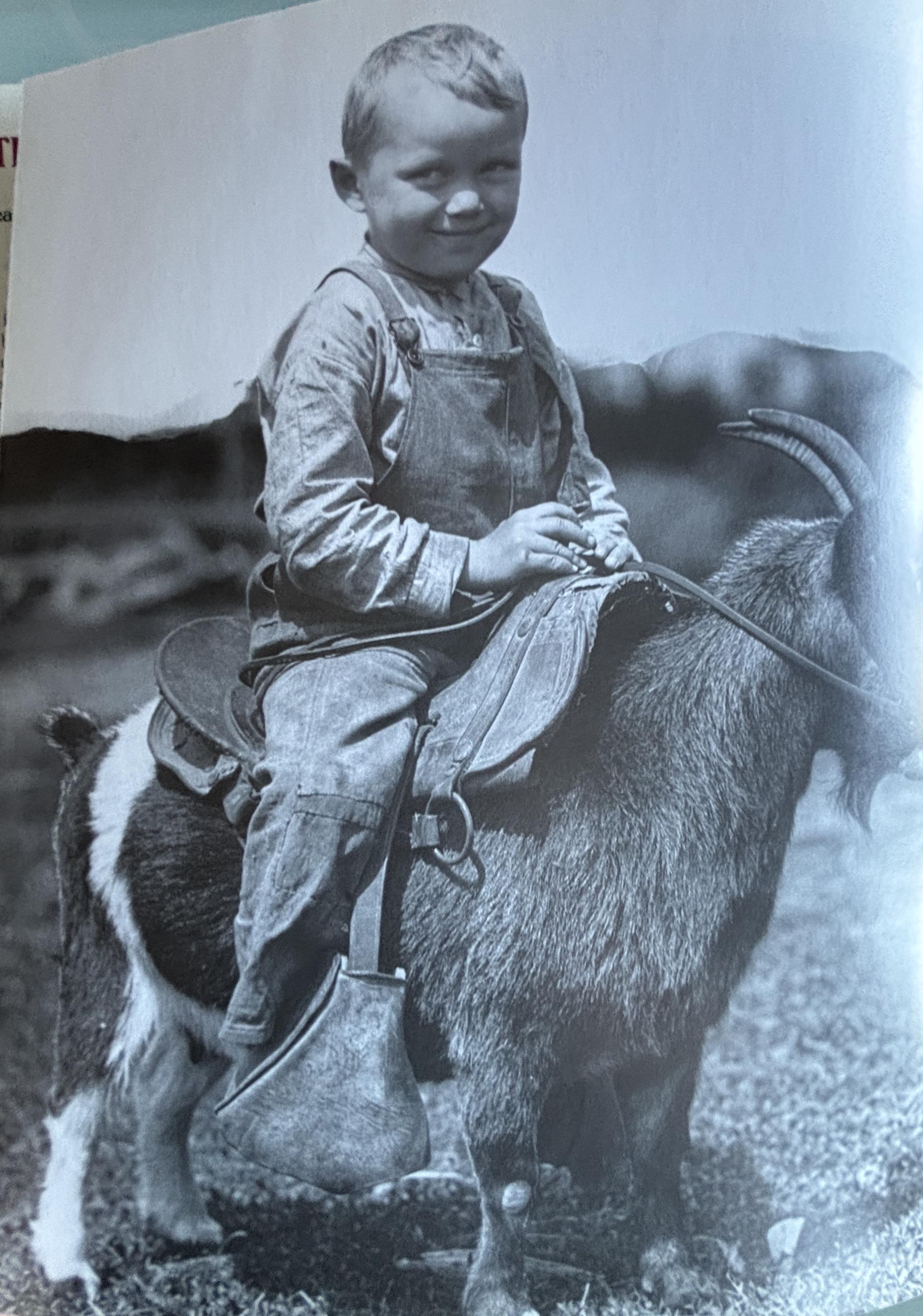 This Old Farm A Treasury of Family Farm Memories:  Michael Dregni