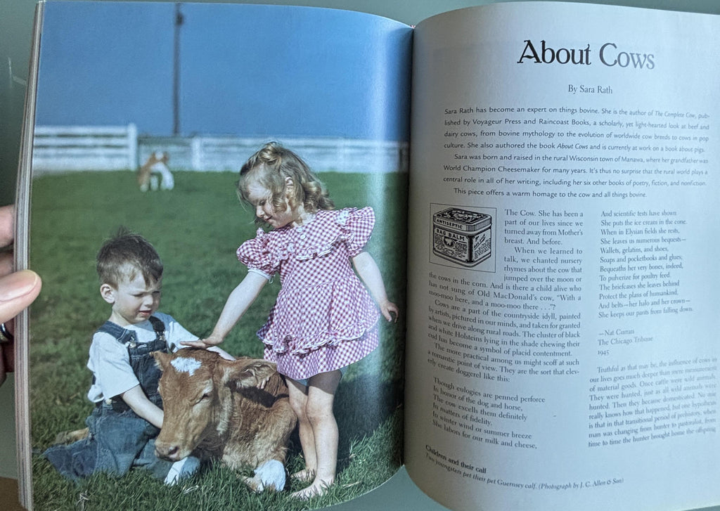 This Old Farm A Treasury of Family Farm Memories:  Michael Dregni