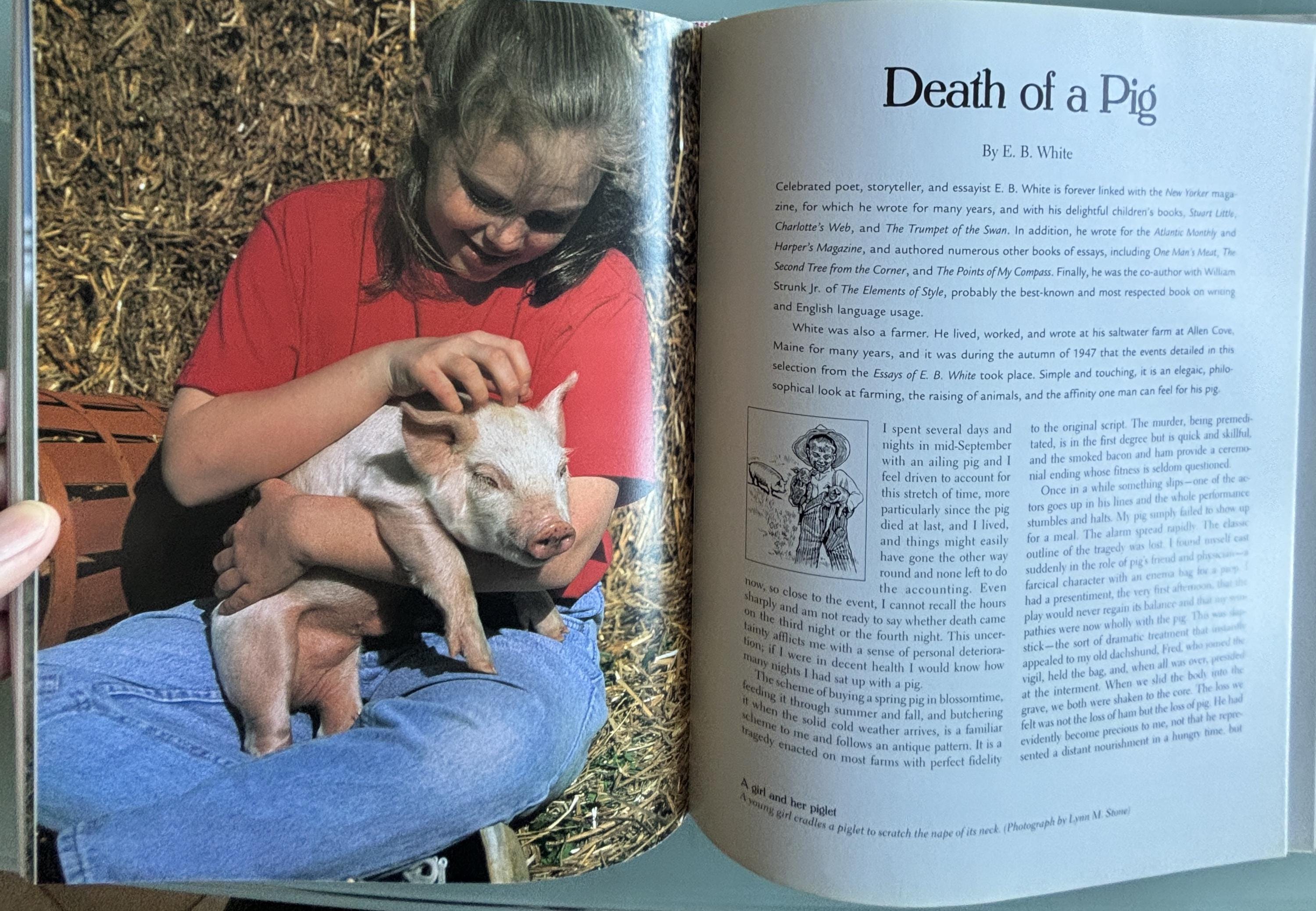 This Old Farm A Treasury of Family Farm Memories:  Michael Dregni