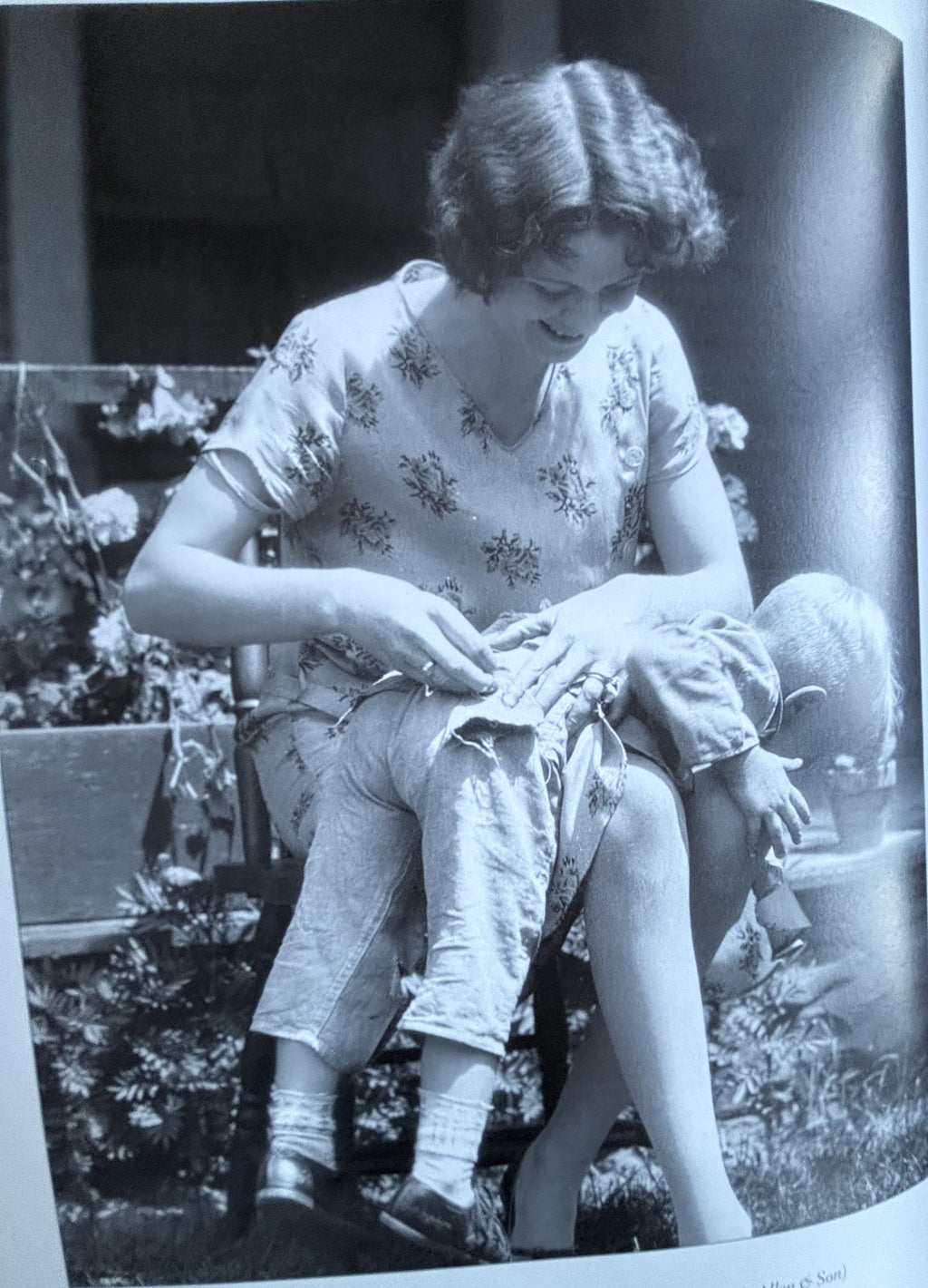 This Old Farm A Treasury of Family Farm Memories:  Michael Dregni